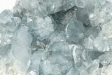 Sparkly Celestine (Celestite) Geode - Large Crystals #228961-1
